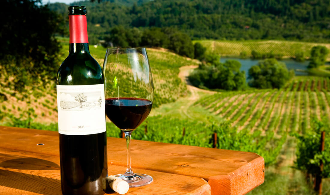 Ruta del Vino y el Singani